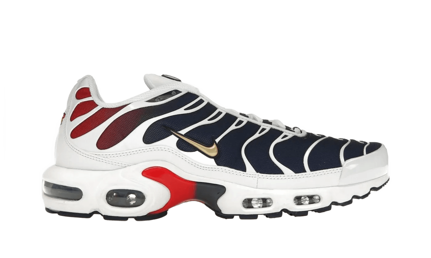 Nike Air Max Plus PSG