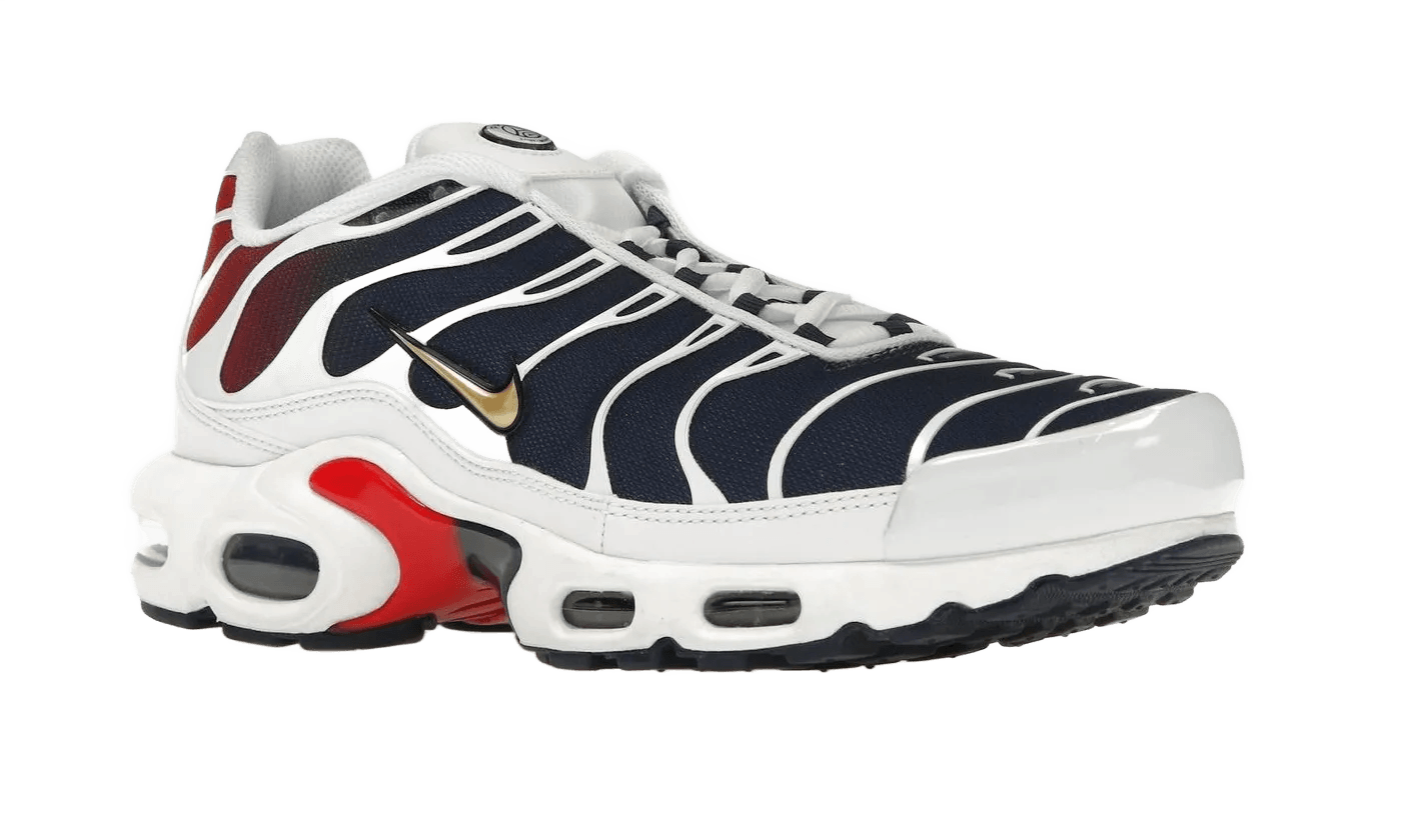 Nike Air Max Plus PSG