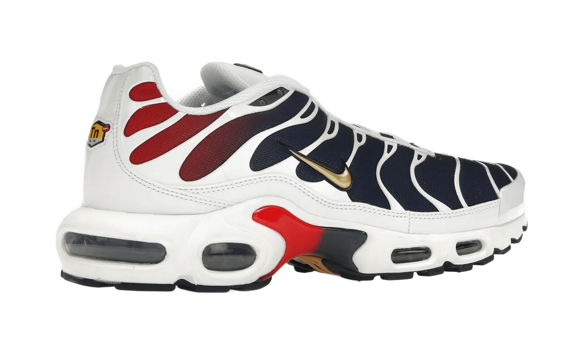 Nike Air Max Plus PSG