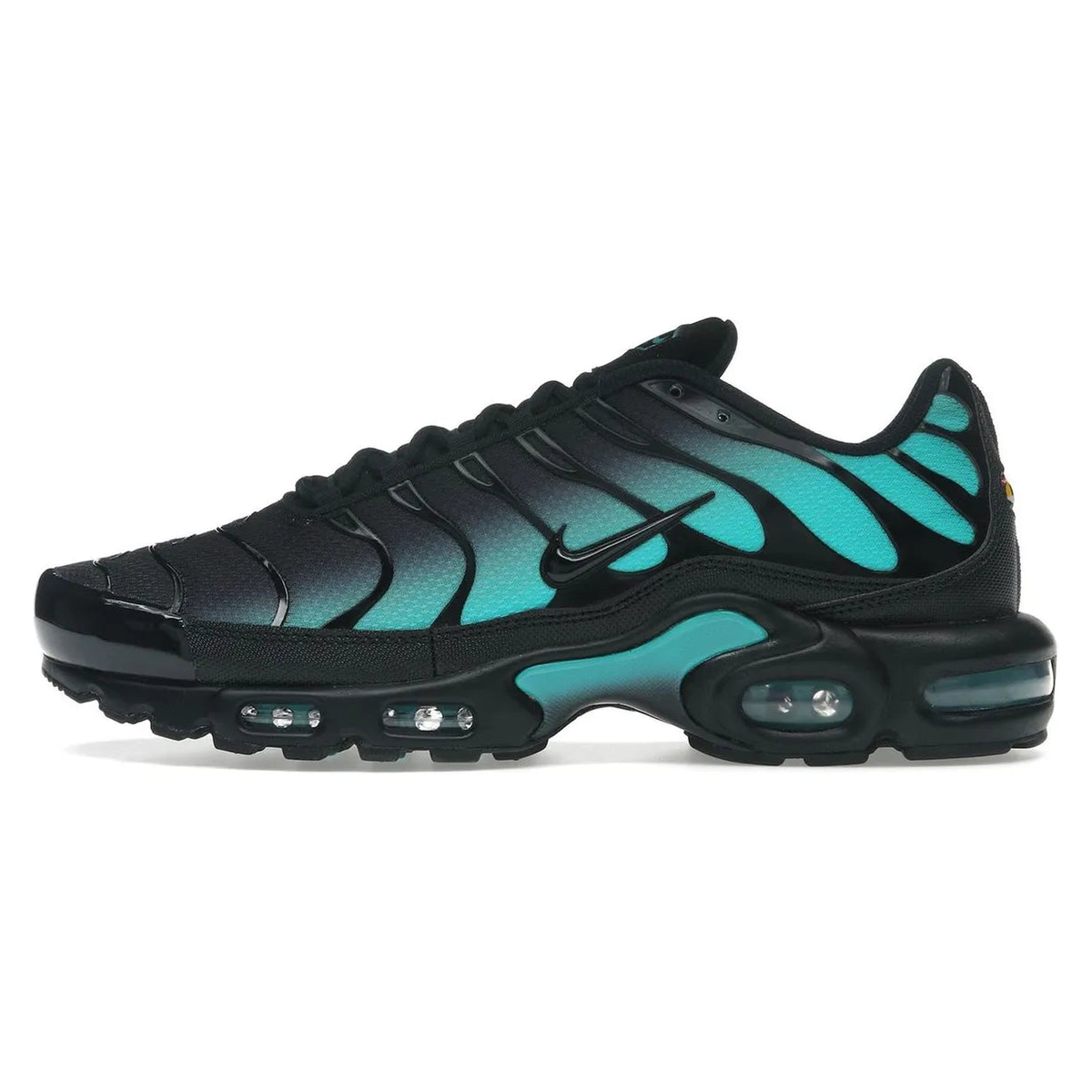 Nike Air Max Plus Black Dusty Cactus