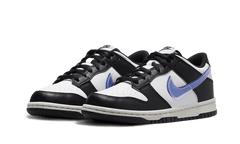 Nike Dunk Low Next Nature TPU Swoosh