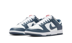 Nike Dunk Low Valerian Blue