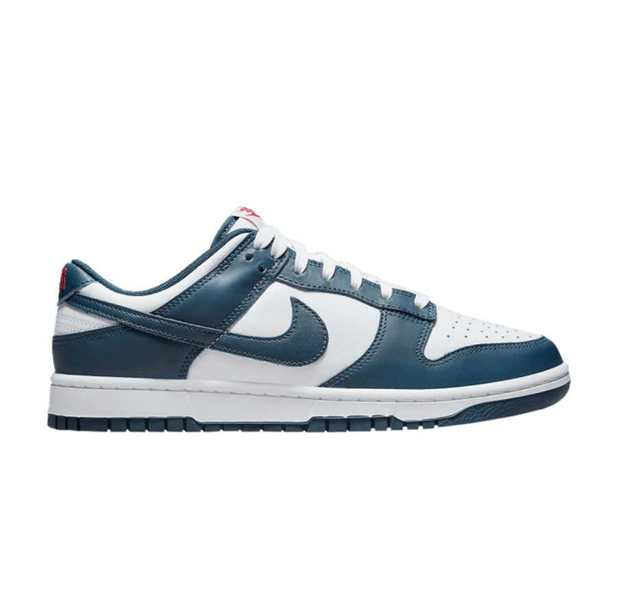 Nike Dunk Low Valerian Blue