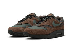 Nike Air Max 1 Beef and Broccoli