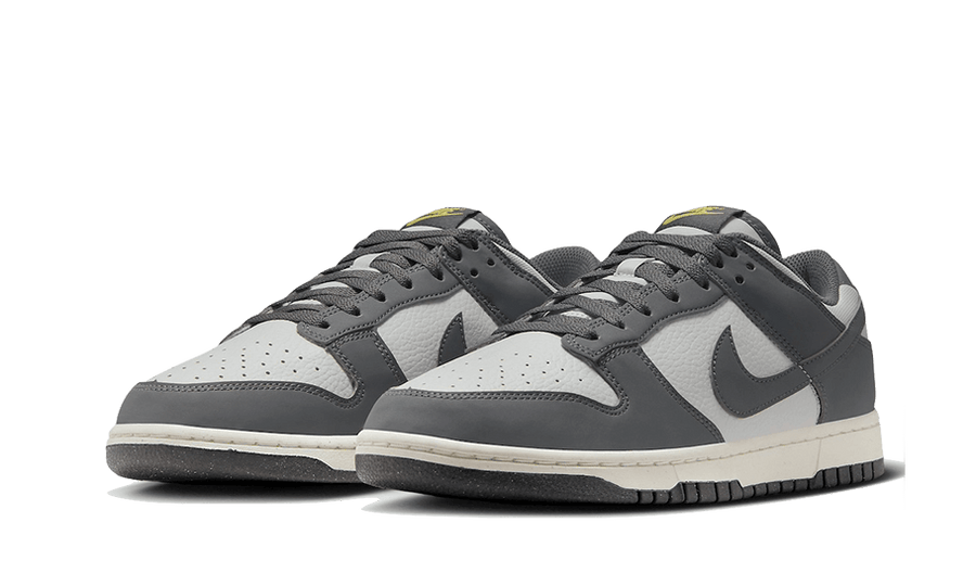 Nike Dunk Low Next Nature Iron Grey Lightning