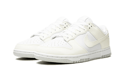 Nike Dunk Low Next Nature Sail