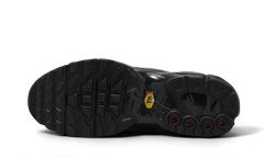 Nike Air Max Plus Tiempo Black White