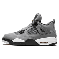 Air Jordan 4 Retro Cool Grey (2019)