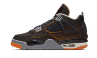 Air Jordan 4 SE Starfish