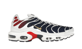 Nike Air Max Plus PSG