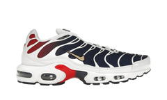 Nike Air Max Plus PSG