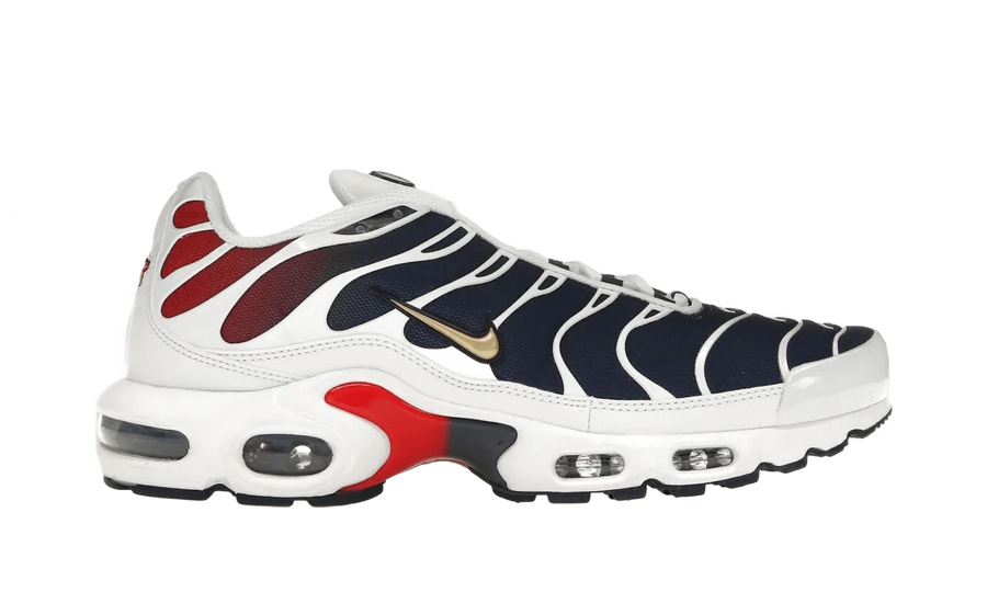Nike Air Max Plus PSG