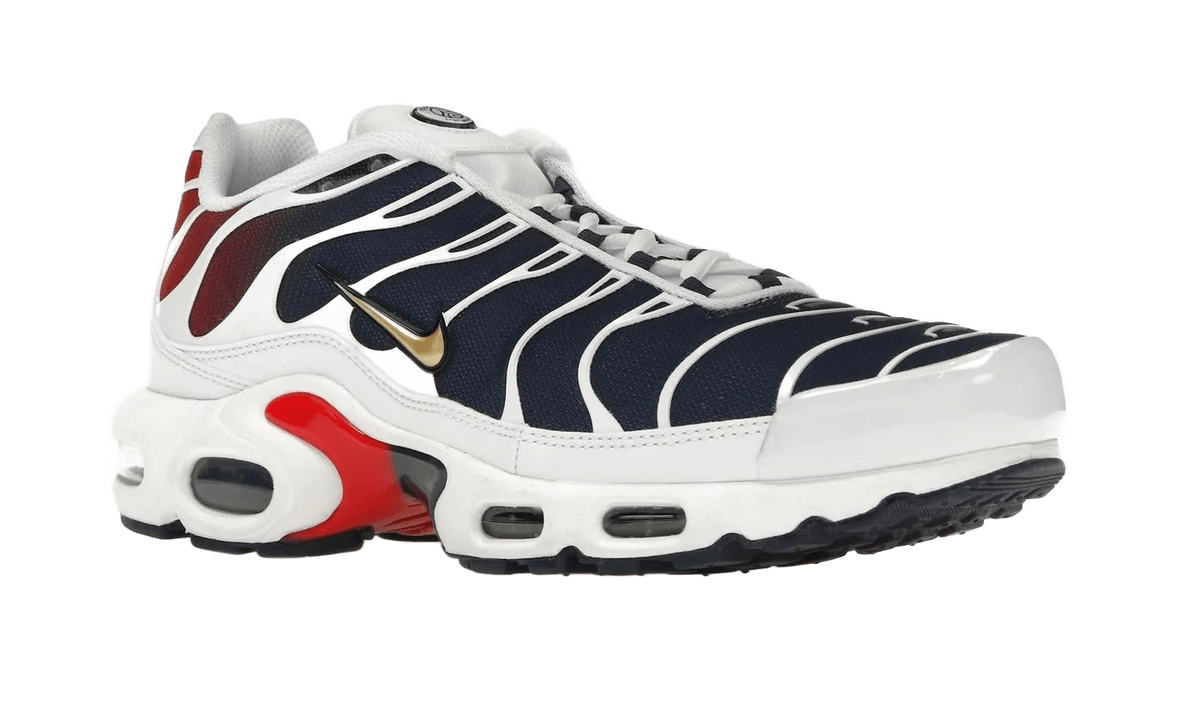 Nike Air Max Plus PSG