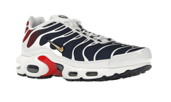 Nike Air Max Plus PSG