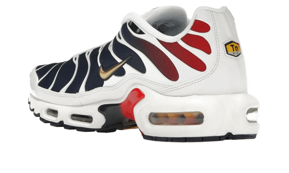 Nike Air Max Plus PSG