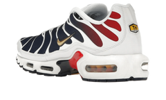 Nike Air Max Plus PSG
