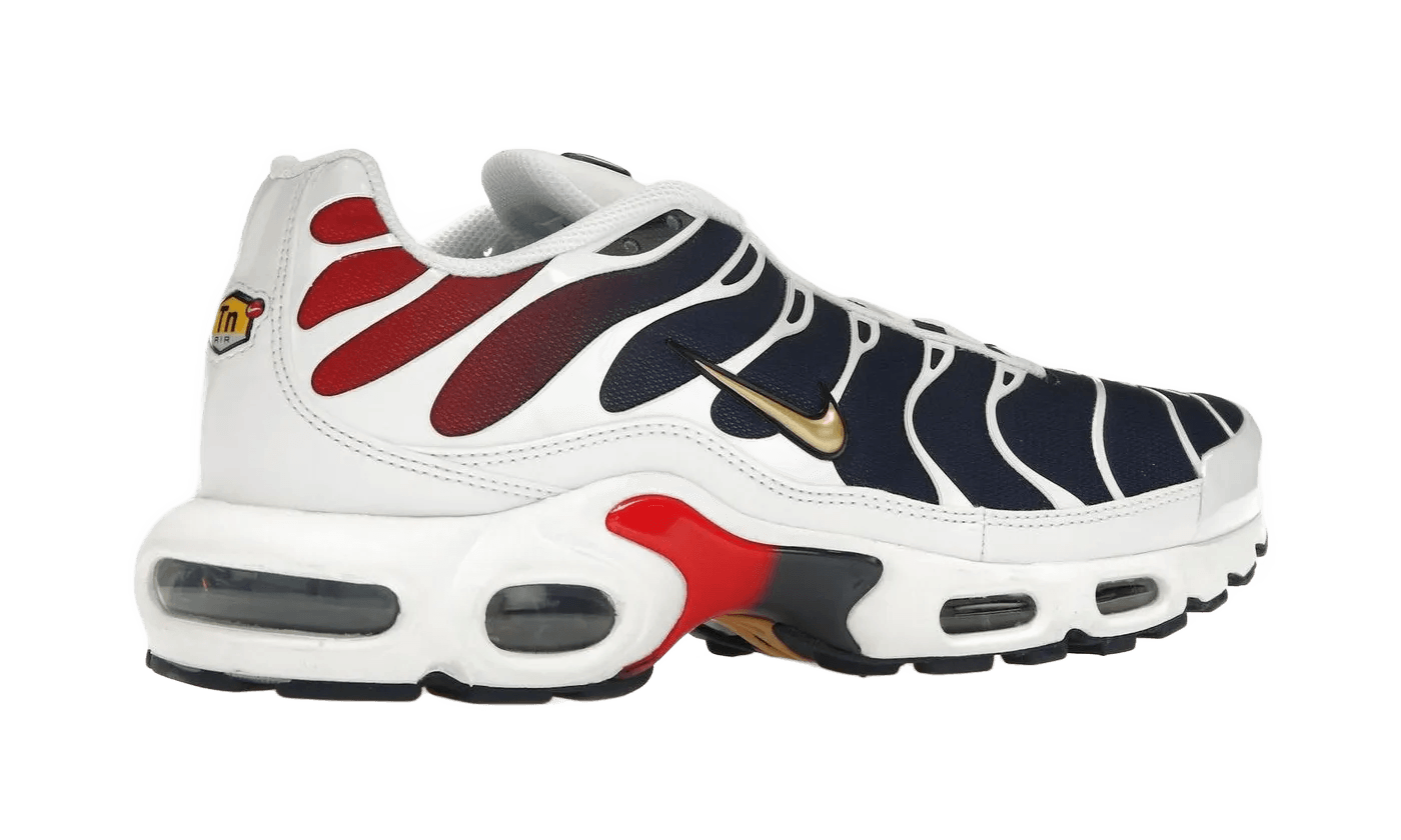 Nike Air Max Plus PSG