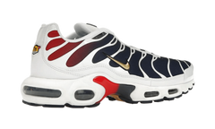 Nike Air Max Plus PSG