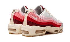 Nike Air Max 95 Anatomy of Air