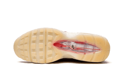 Nike Air Max 95 Anatomy of Air