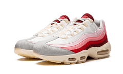 Nike Air Max 95 Anatomy of Air