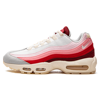 Nike Air Max 95 Anatomy of Air