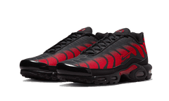 Nike Air Max Plus Bred Reflective