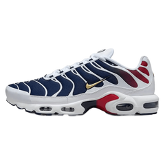Nike Air Max Plus PSG