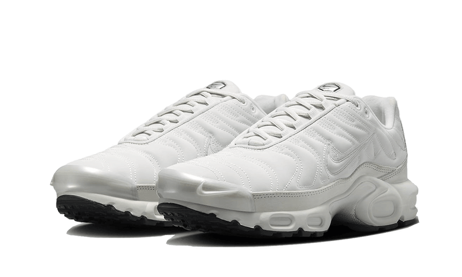 Nike Air Max Plus Reflective Platinum