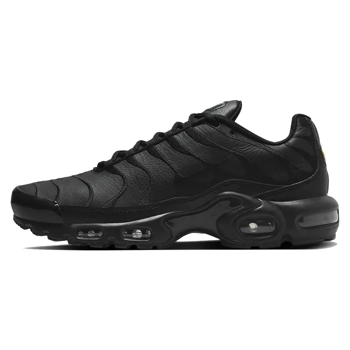 Nike Air Max Plus Triple Black Leather