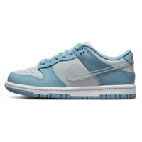 Nike Dunk Low Clear Swoosh
