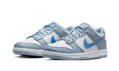 Nike Dunk Low Hologram