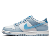 Nike Dunk Low Hologram