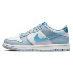 Nike Dunk Low Hologram