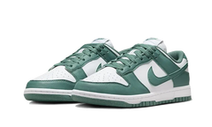 Nike Dunk Low Next Nature Bicoastal