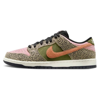 Nike SB Dunk Low Arts-Rec