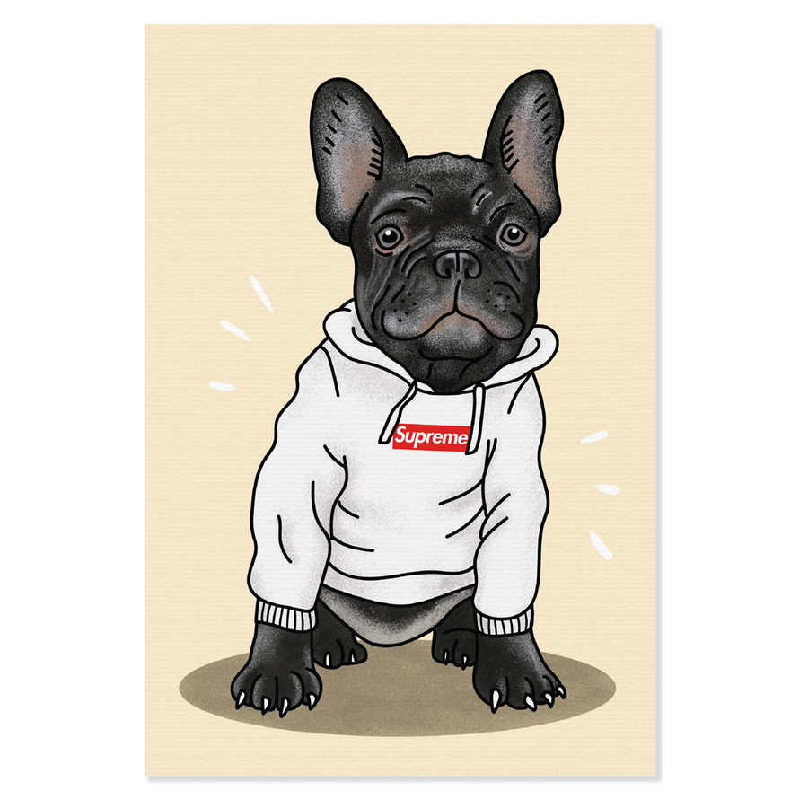 Obraz na plátně Supreme Box Logo Hoodie Dog