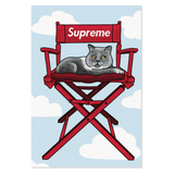 Obraz na płótnie Supreme Chair Cat