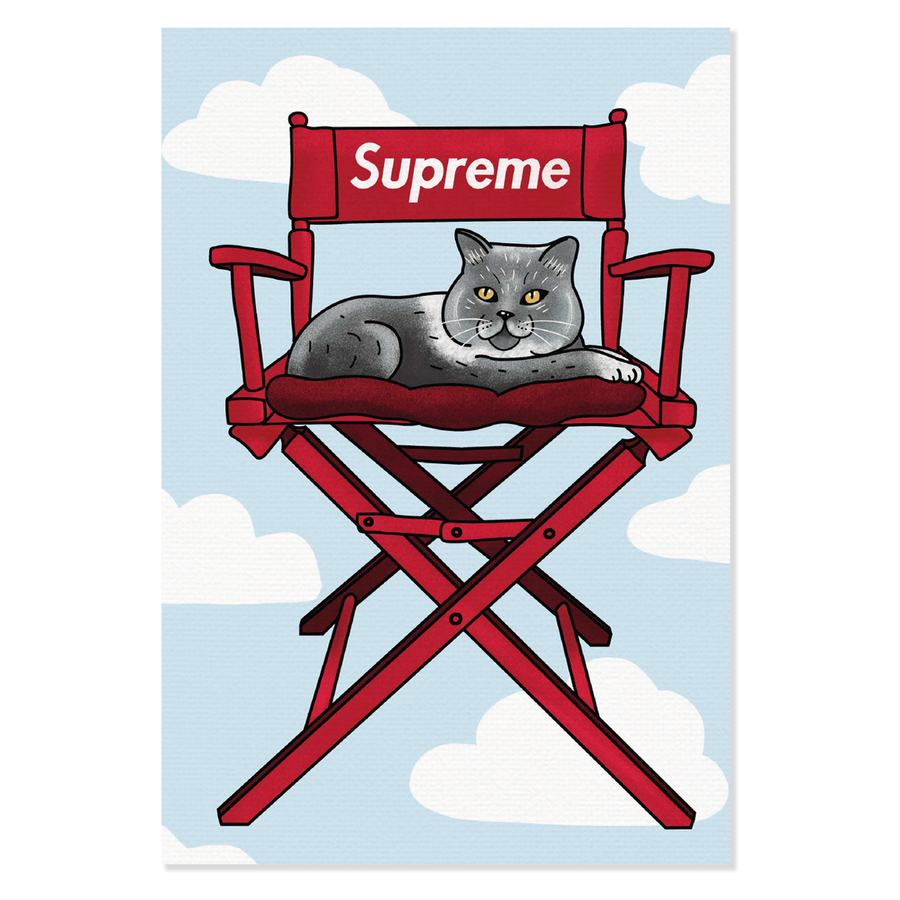 Obraz na płótnie Supreme Chair Cat