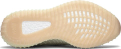Yeezy Boost 350 V2 Antlia Non-Reflective