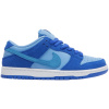 Nike SB Dunk Low Blue Raspberry