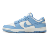 Nike Dunk Low Coast