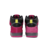 Nike SB Dunk High Run The Jewels