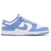 Nike Dunk Low Polar Blue