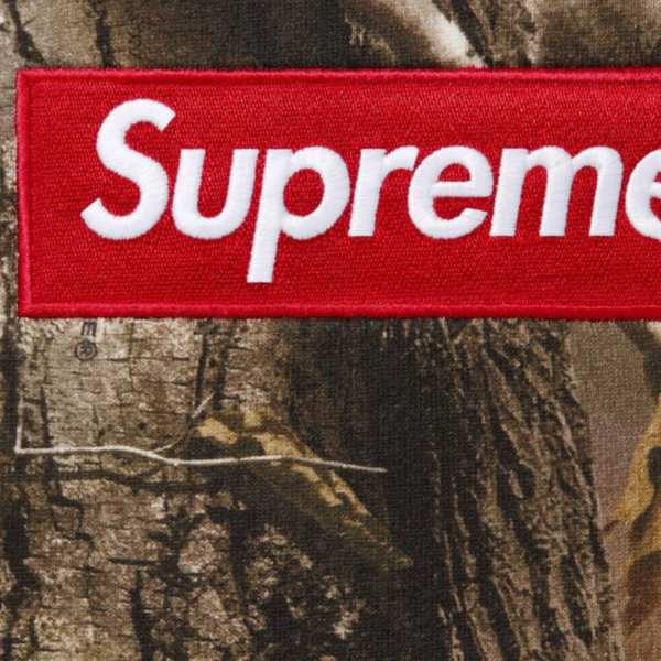 Supreme Box Logo Hooded Sweatshirt Realtree AP Camo (FW25) 1